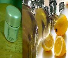 homepage_pdtimage.jpg (15952 bytes)